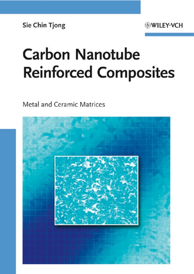 Carbon Nanotube Reinforced Composites. Metal and Ceramic Matrices