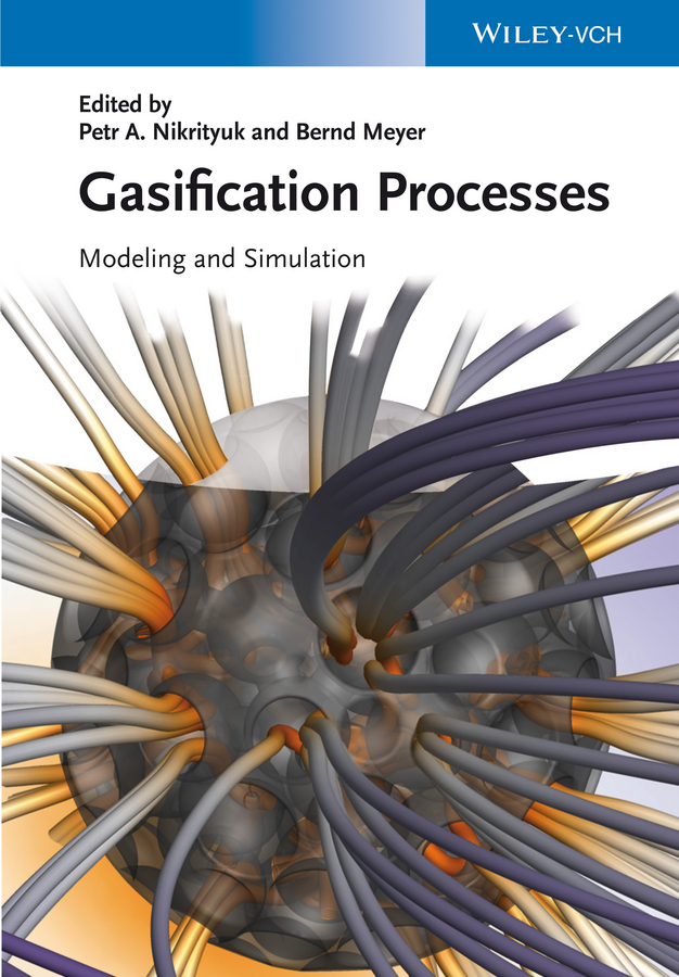 Gasification Processes. Modeling and Simulation