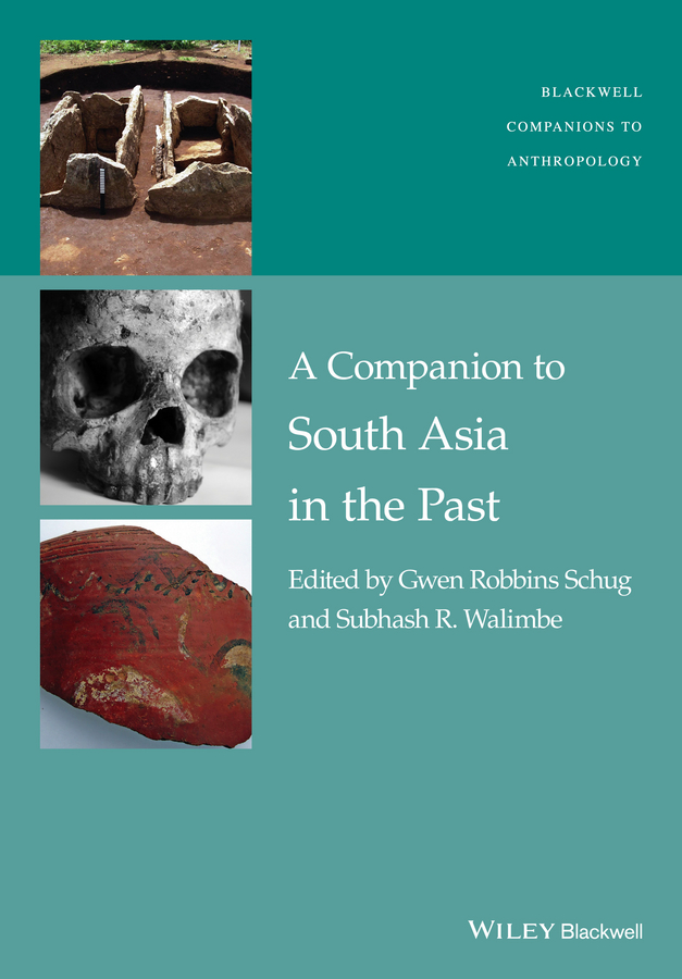 A Companion to South Asia in the Past