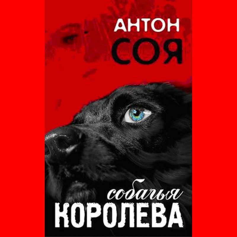 Собачья королева