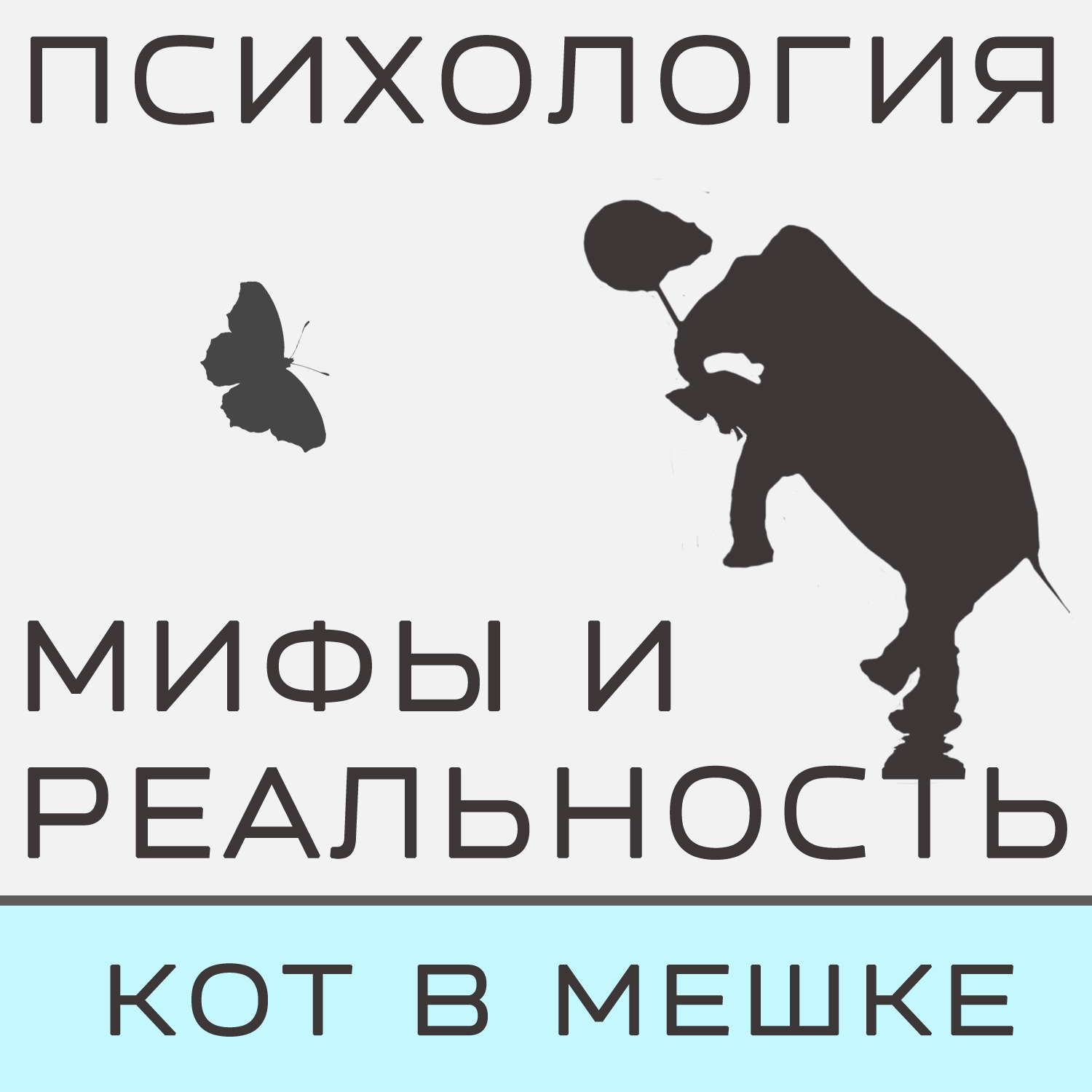 Александра Копецкая (Иванова) Кот в мешке (октябрь)