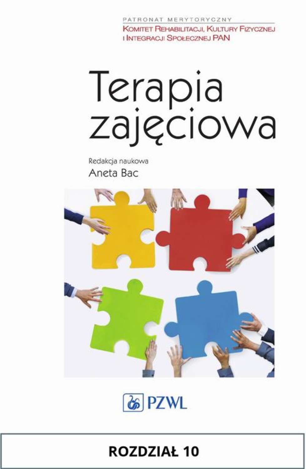 Terapia zajęciowa. Rozdział 10