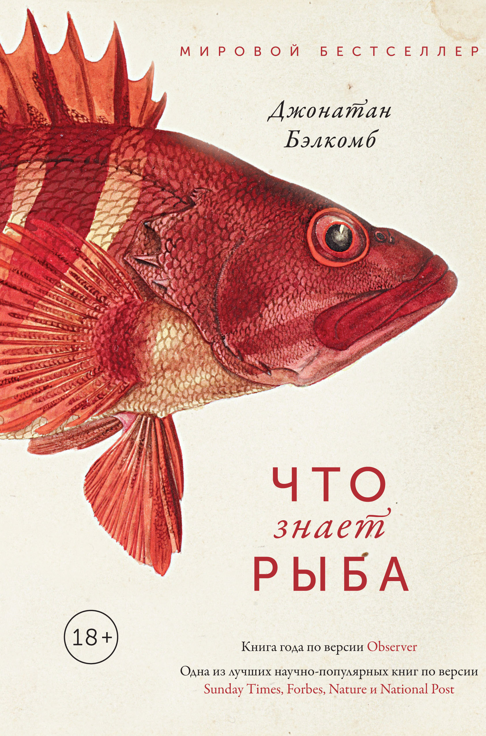 Что знает рыба, Джонатан Бэлкомб – скачать книгу fb2, epub, pdf на ЛитРес