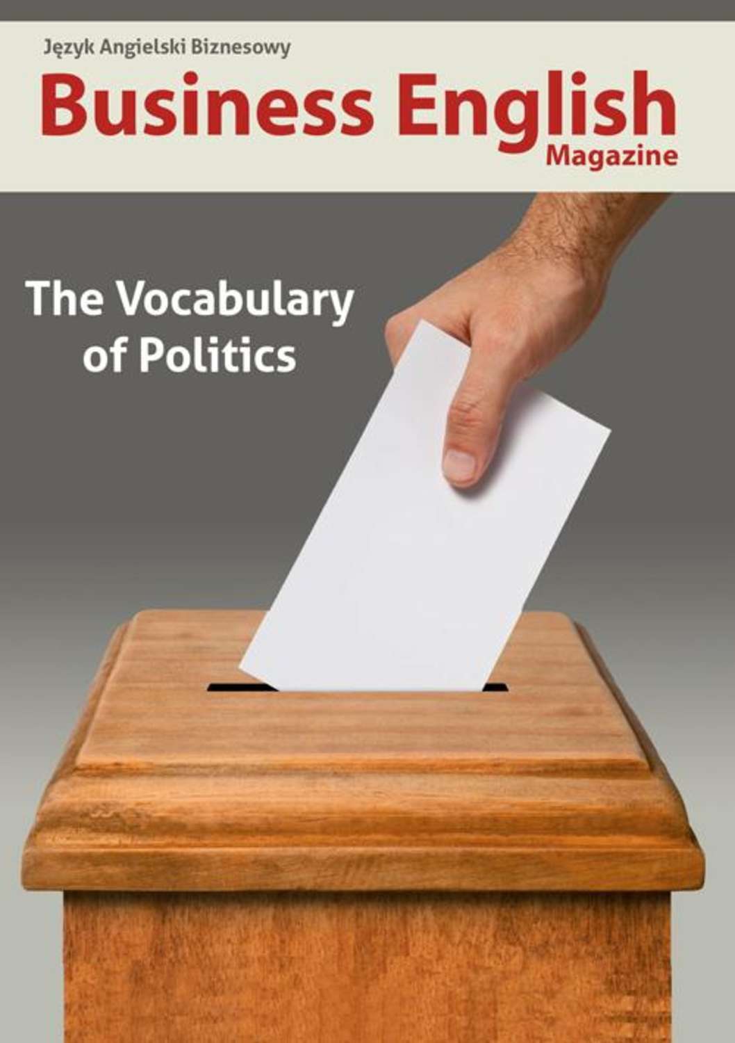 

The Vocabulary of Politics