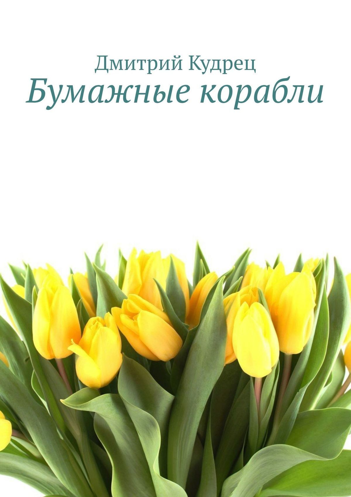 Бумажные корабли, Дмитрий Кудрец – скачать книгу fb2, epub, pdf на ЛитРес