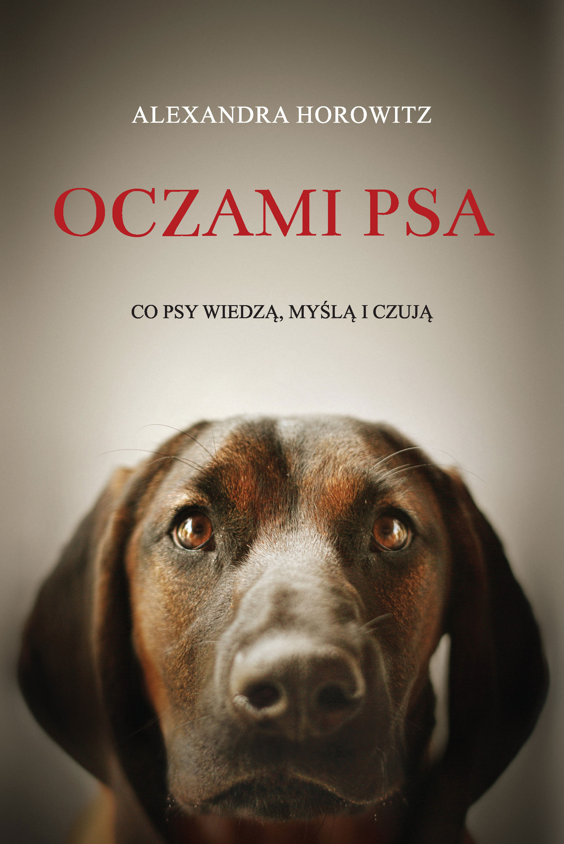 

Oczami psa.