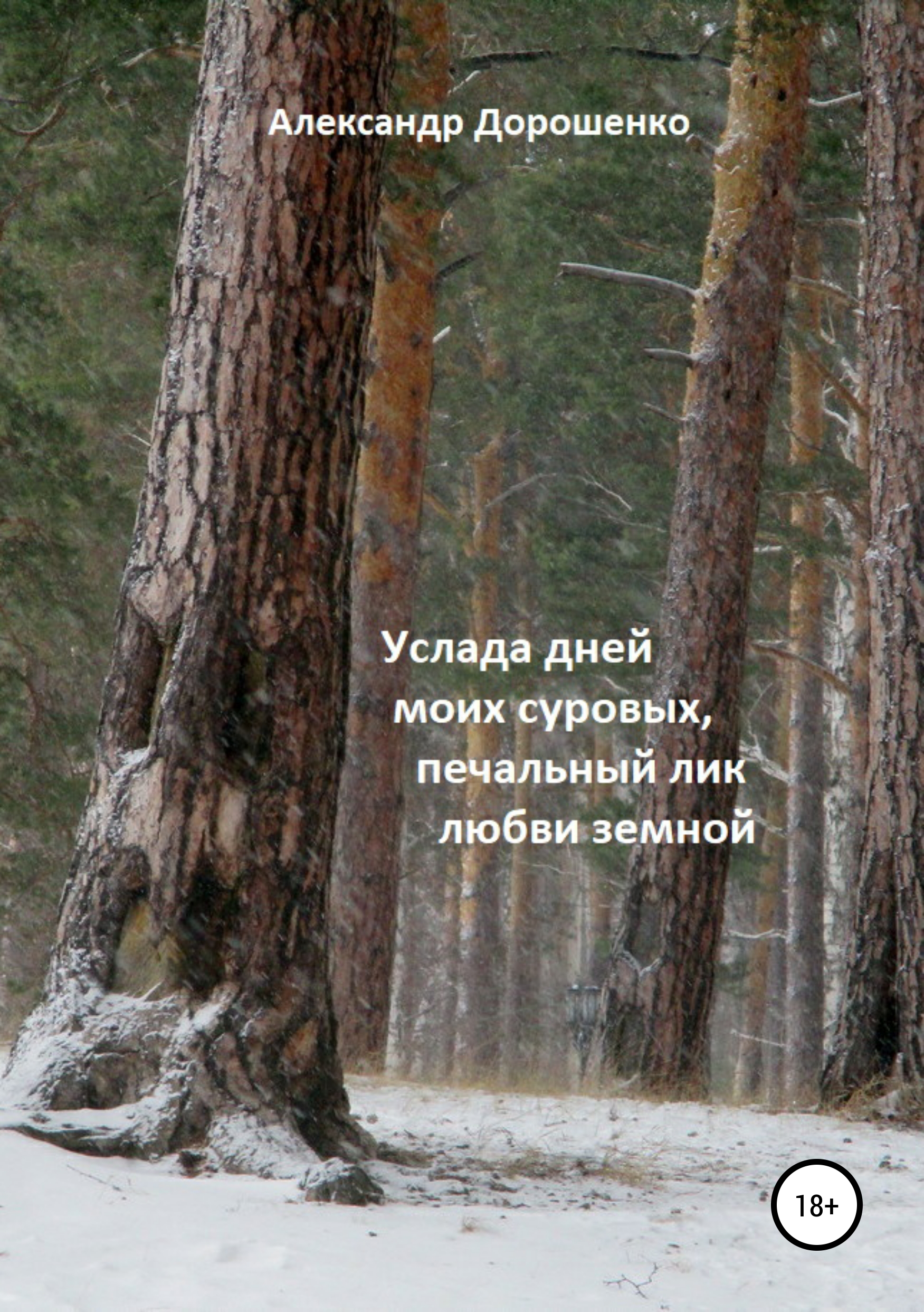 

Услада дней моих суровых,печальный лик любви земной