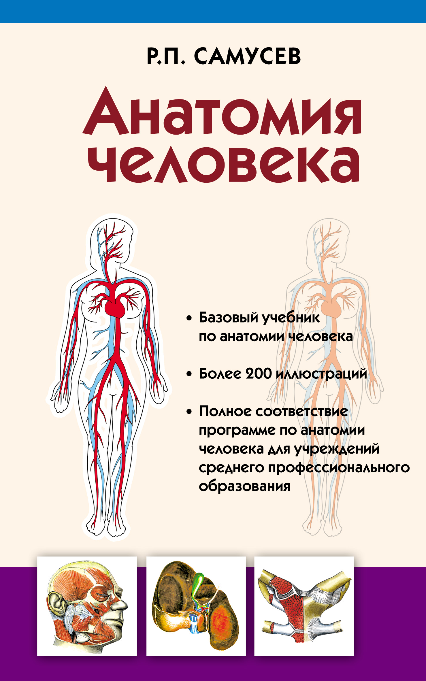 Анатомия человека, Р. П. Самусев – скачать pdf на ЛитРес