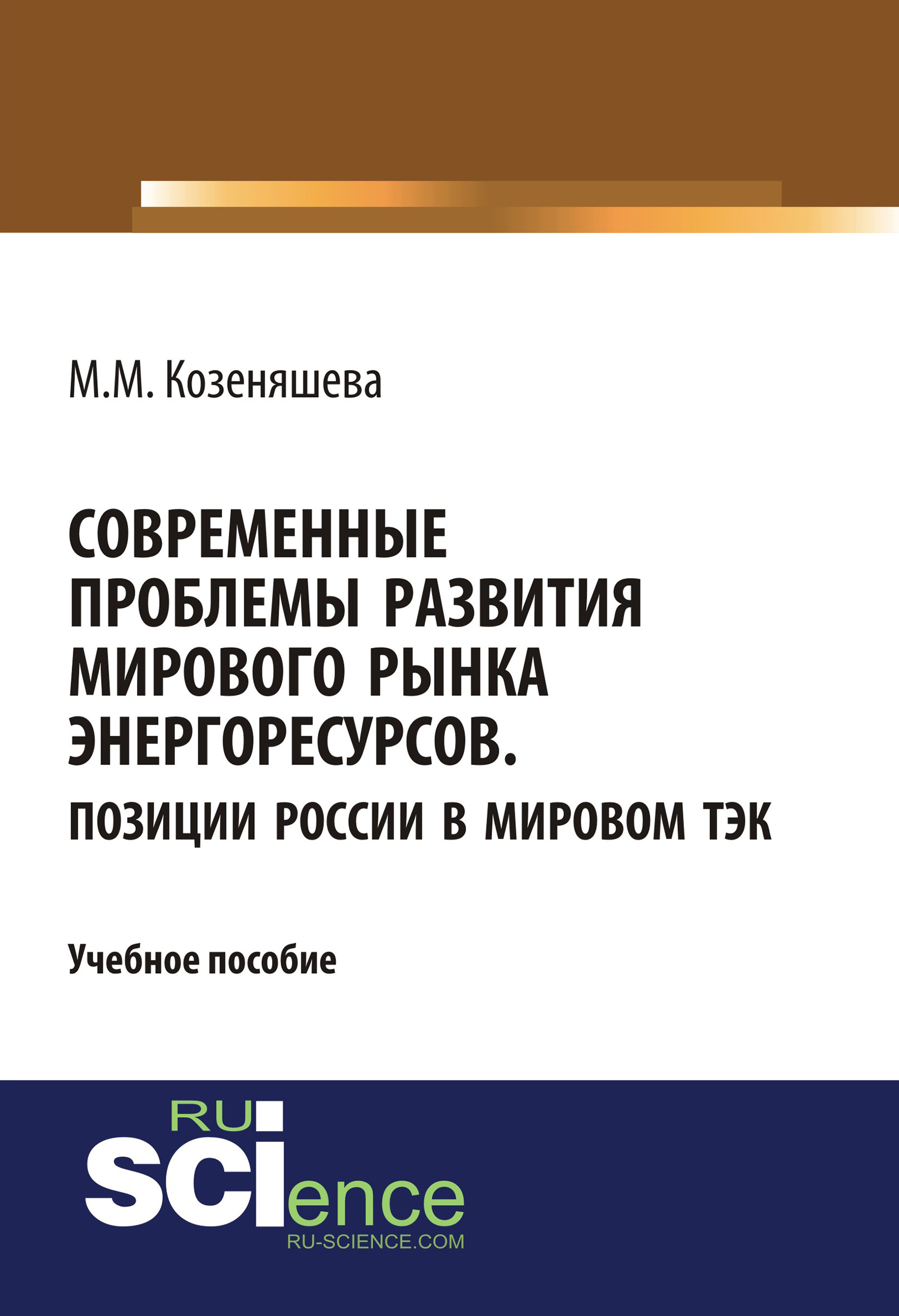 

Современные проблемы развития мирового рынка энергоресурсов. Позиции России в мировом ТЭК