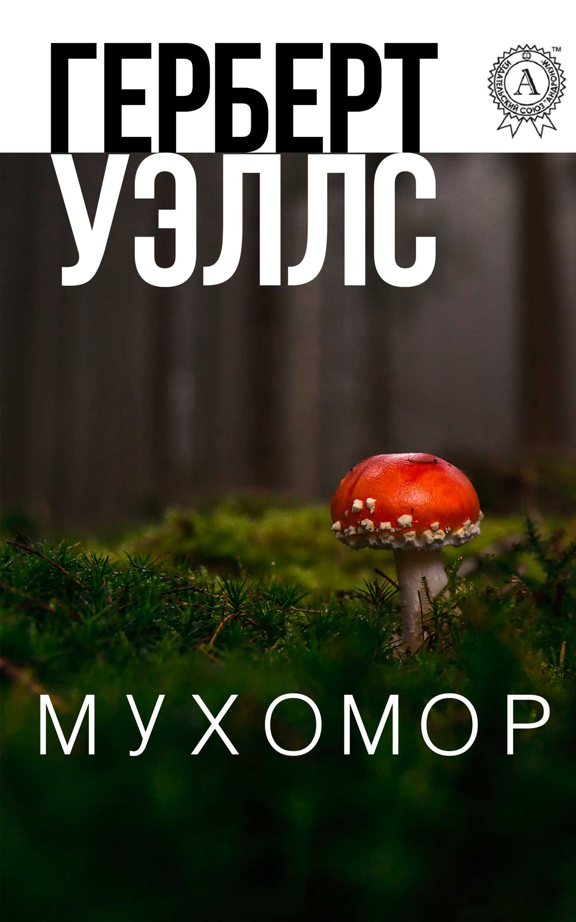 

Мухомор