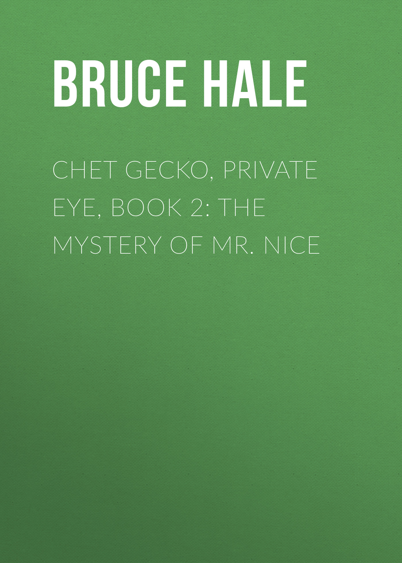 

Chet Gecko, Private Eye, Book 2: The Mystery of Mr. Nice