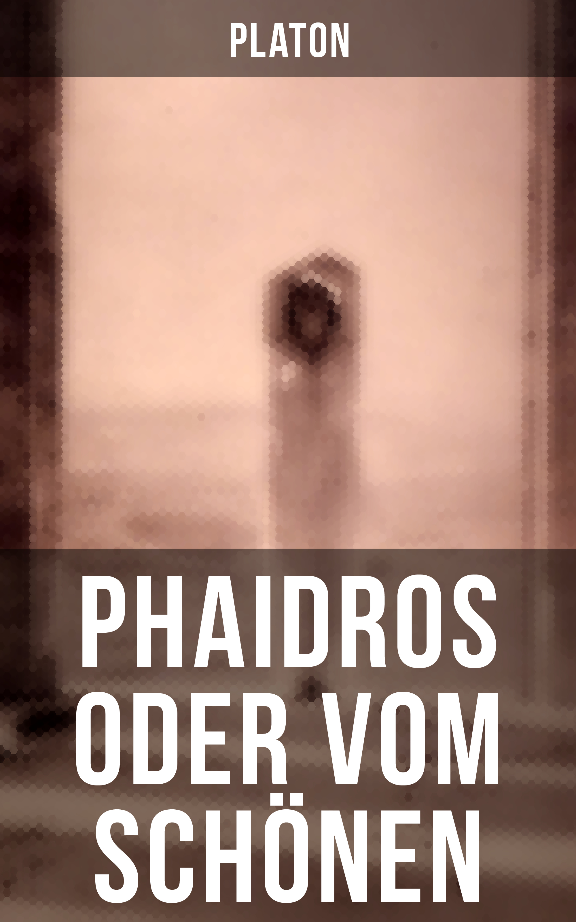 Phaidros oder Vom Schönen