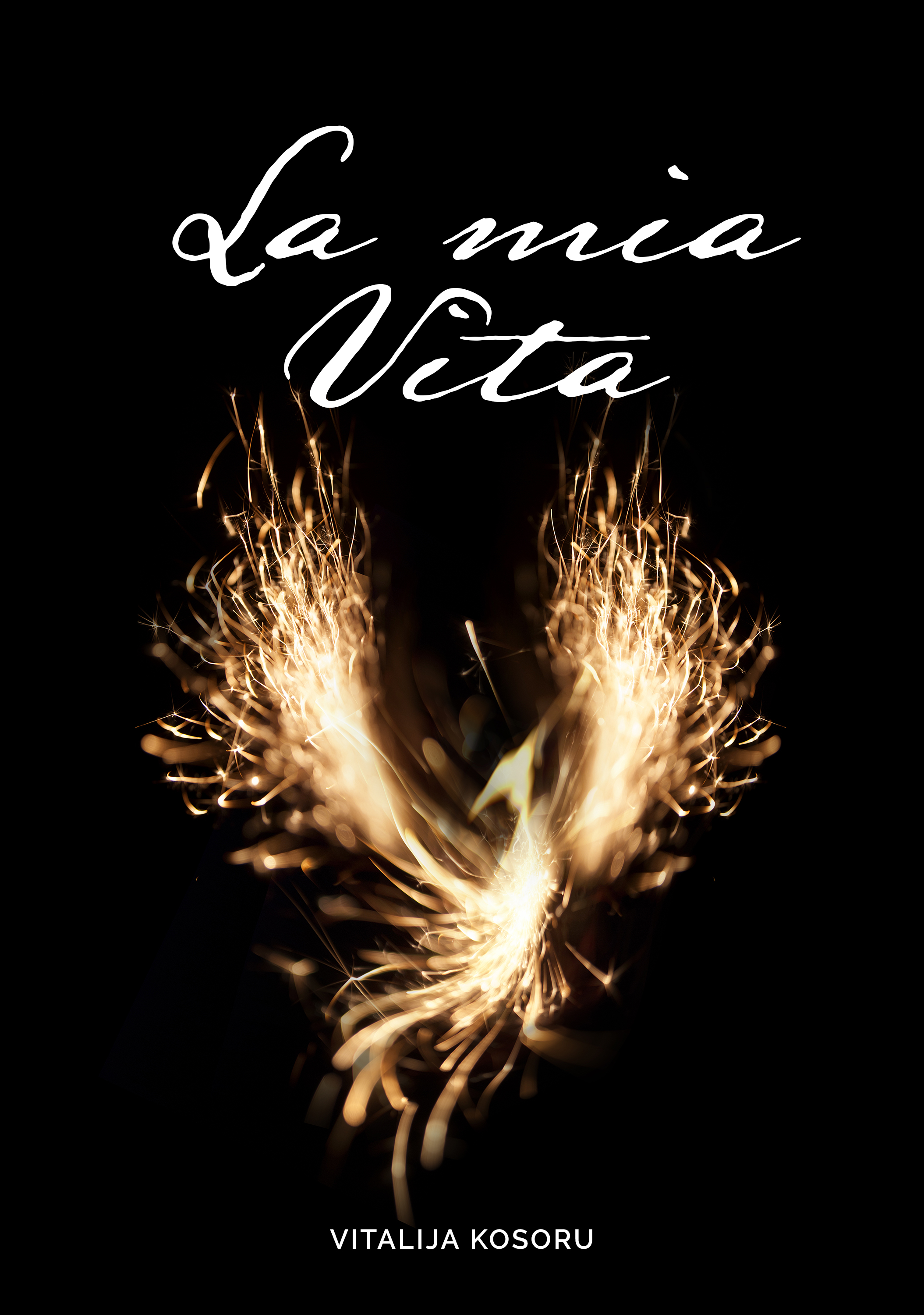 

La mia Vita