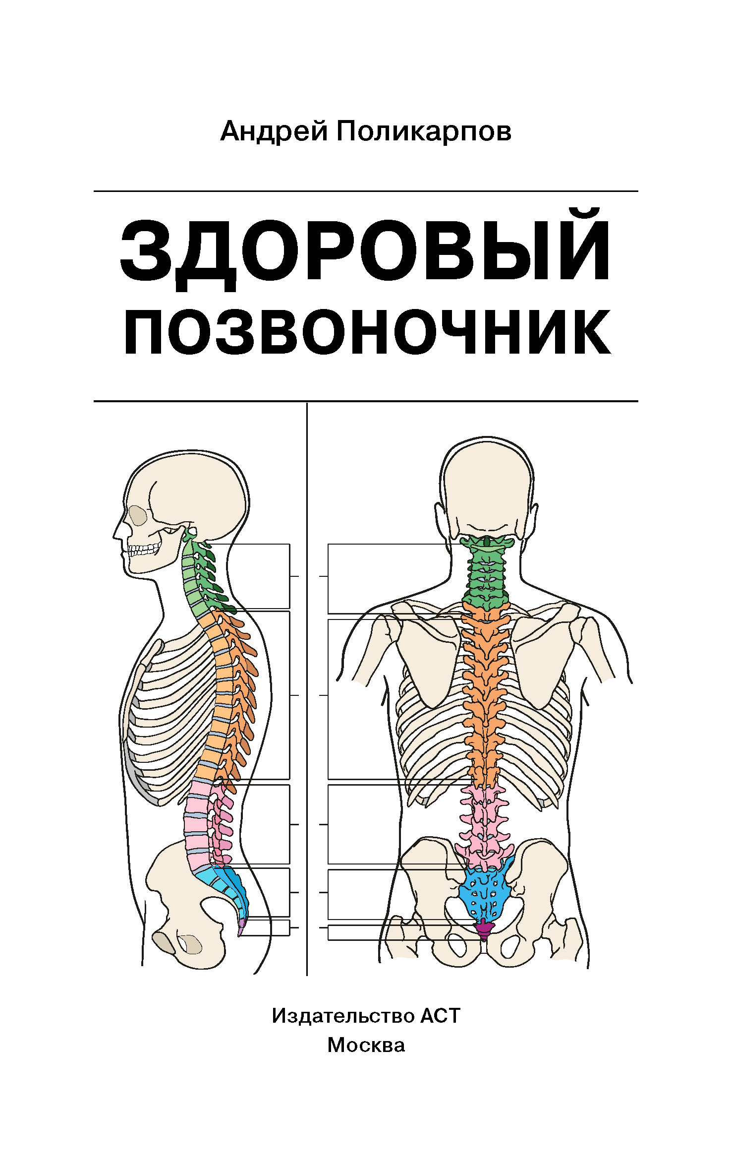 Здоровый позвоночник, Андрей Поликарпов – скачать книгу fb2, epub, pdf на  ЛитРес