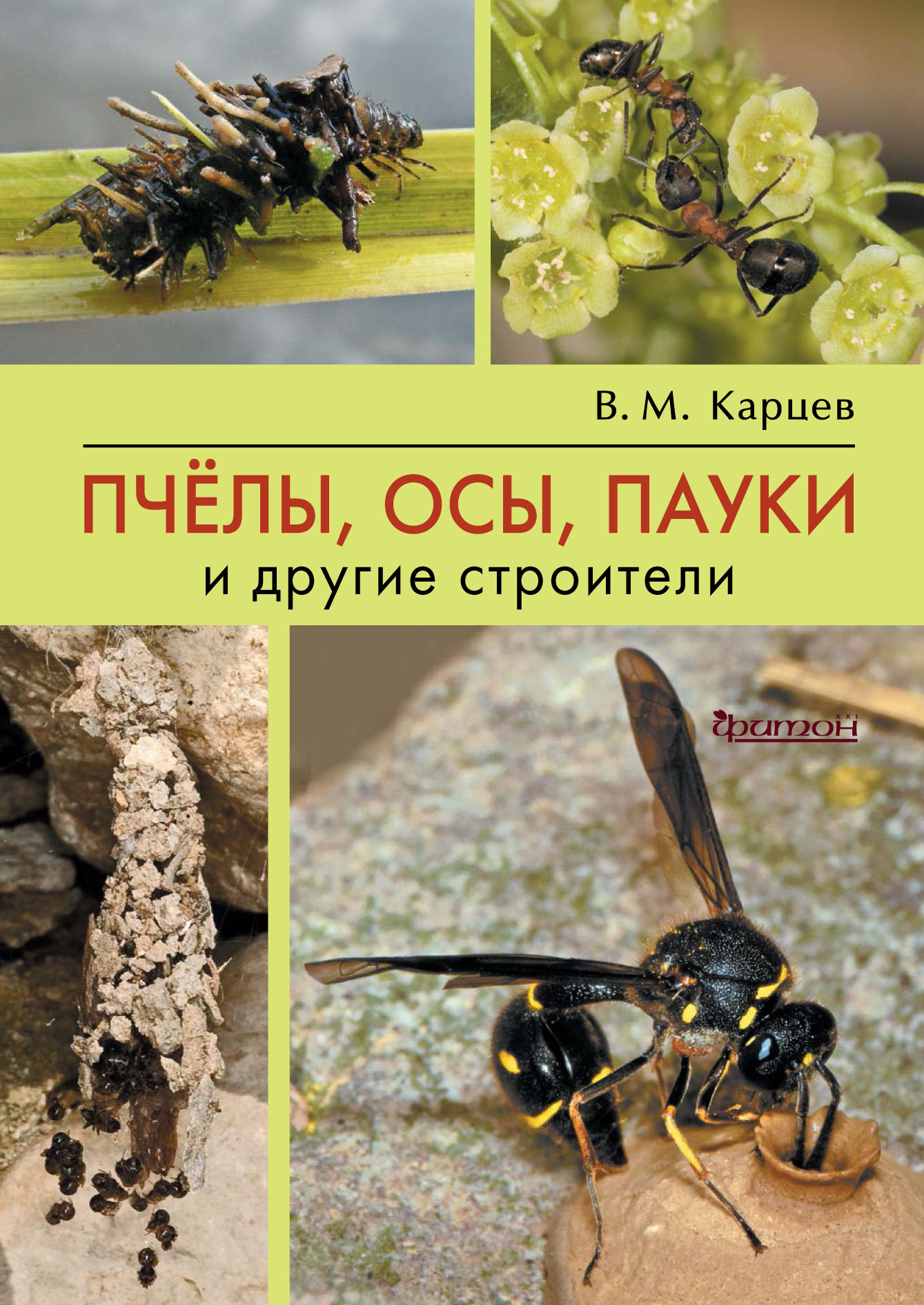 Пчёлы, осы, пауки и другие строители, Владимир Карцев – скачать pdf на  ЛитРес