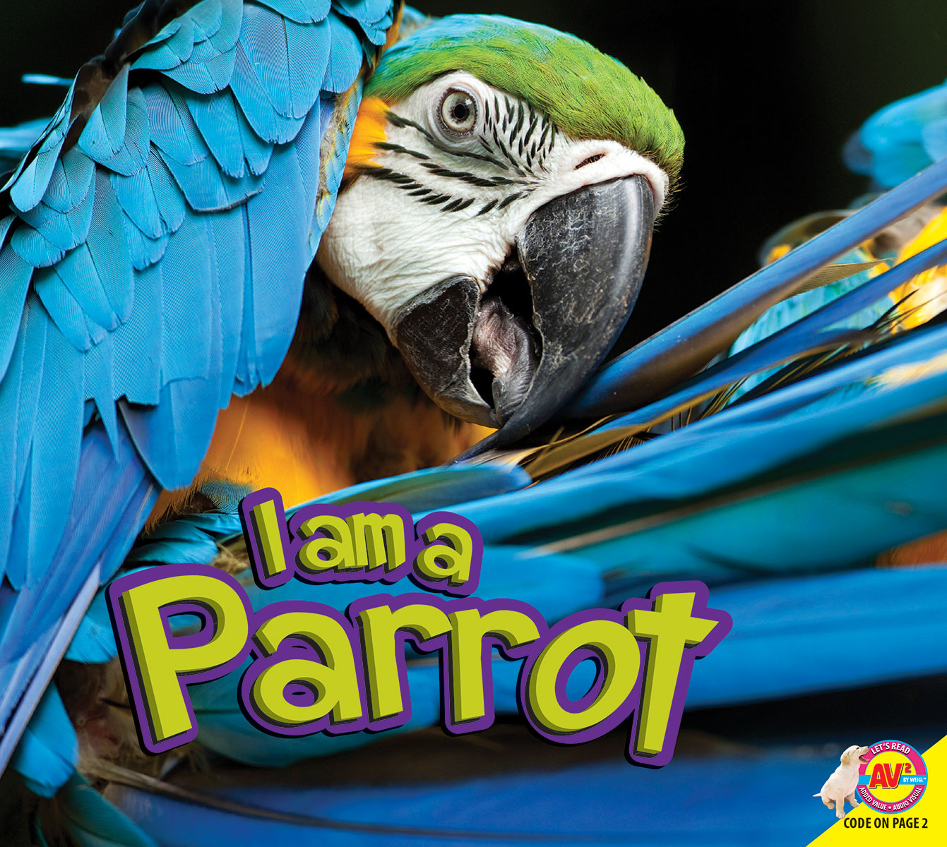 Parrot