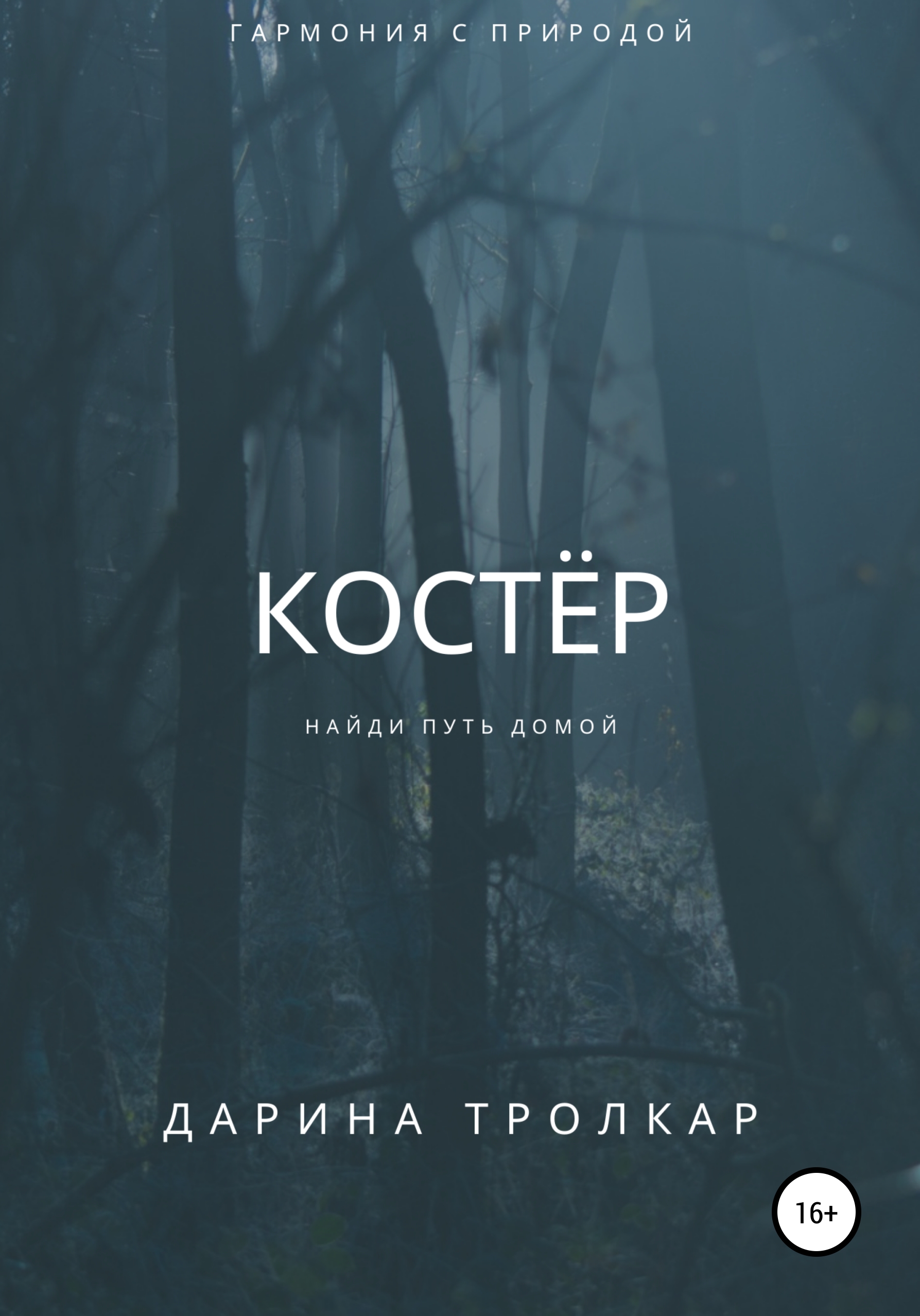Книга костры на сопках. Книга в костре. Гори наш костер книга. Борьба за огонь жозеф анри рони-старший книга. Костров поэт.