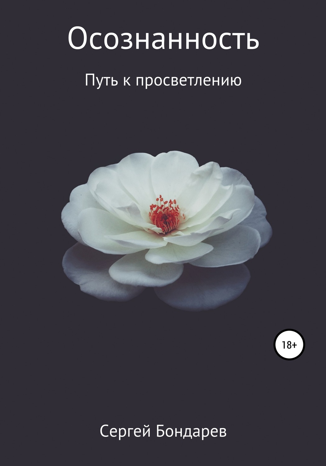 

Осознанность. Путь к просветлению