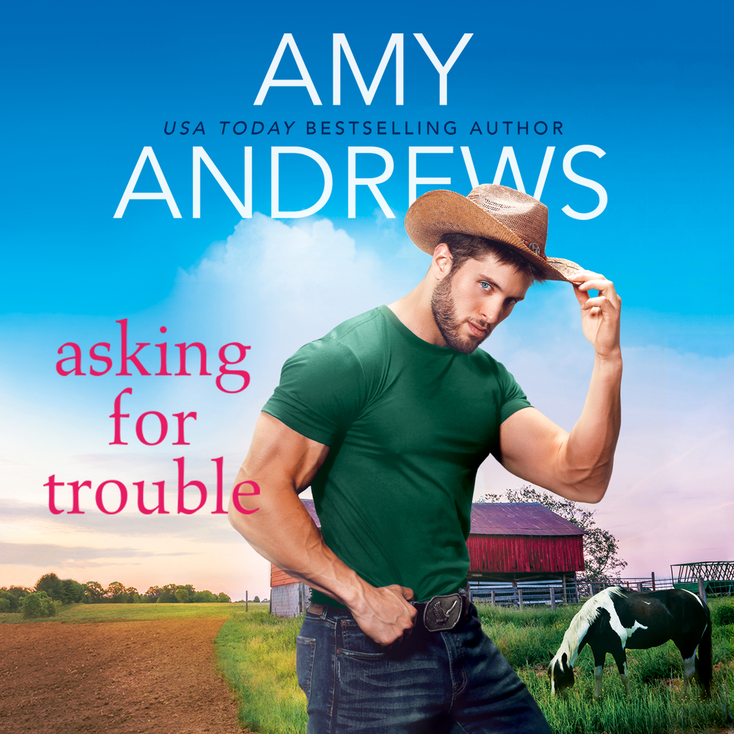 Asking for Trouble - Credence, Colorado, Book 3 (Unabridged)