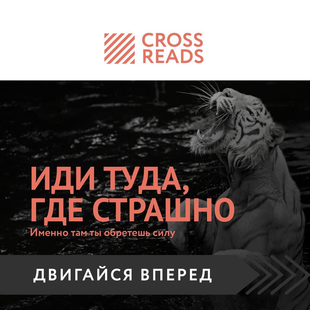 Отзывы на аудиокнигу «Саммари книги «Иди туда, где страшно. Именно там ...