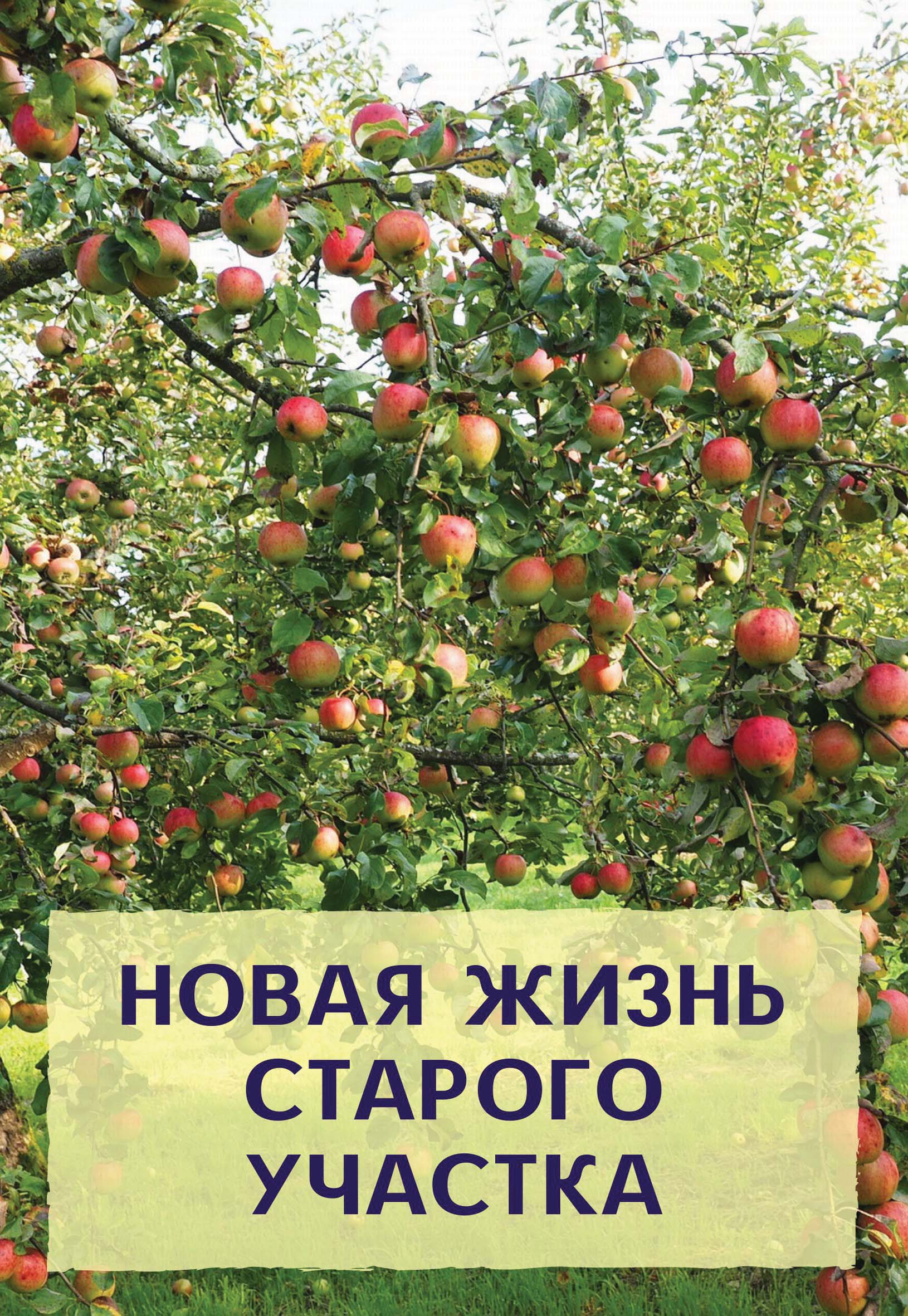 Новая жизнь старого участка, Николай Хромов – скачать pdf на ЛитРес