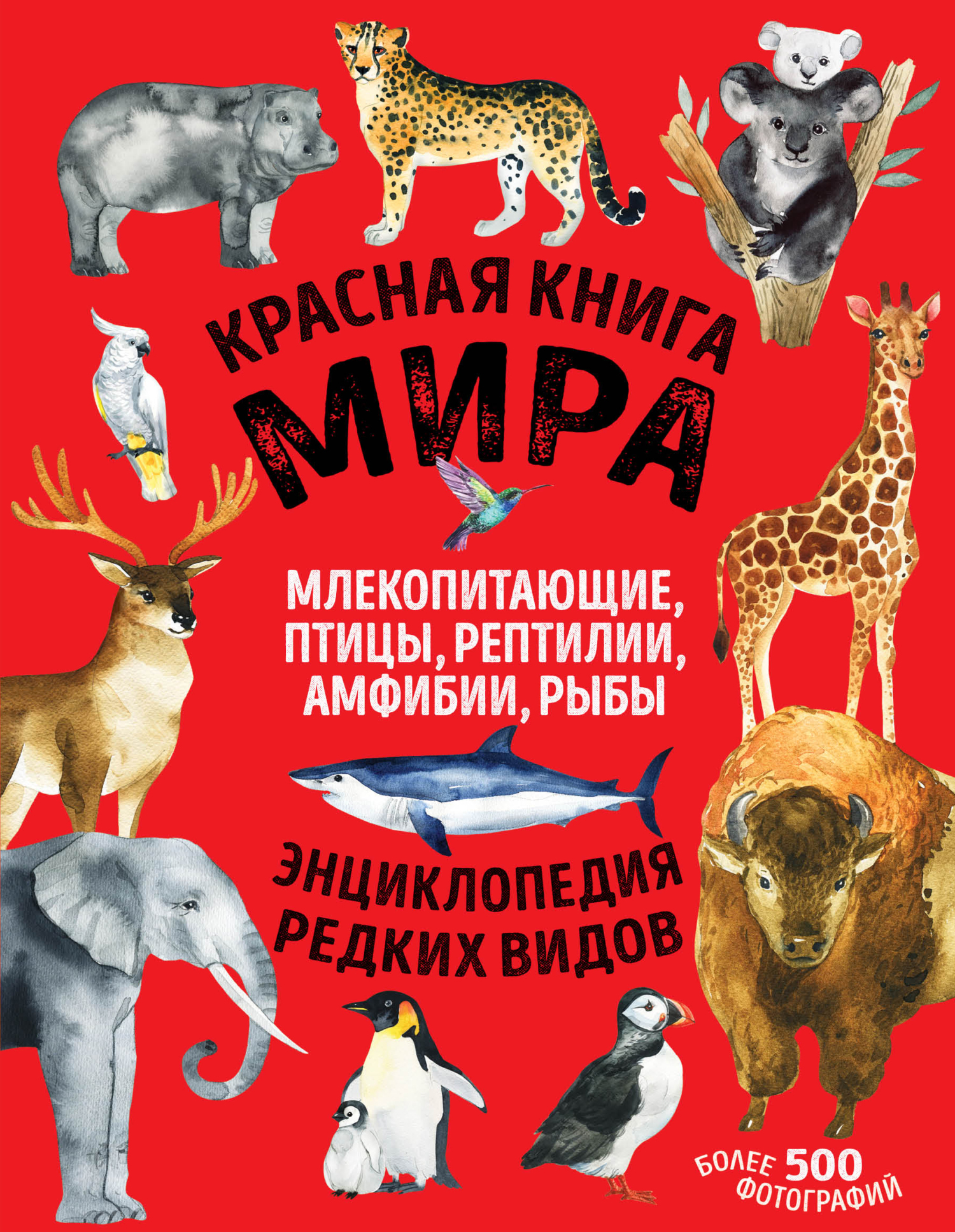 Как сделать Красную Книгу по окружающему миру во 2 классе?