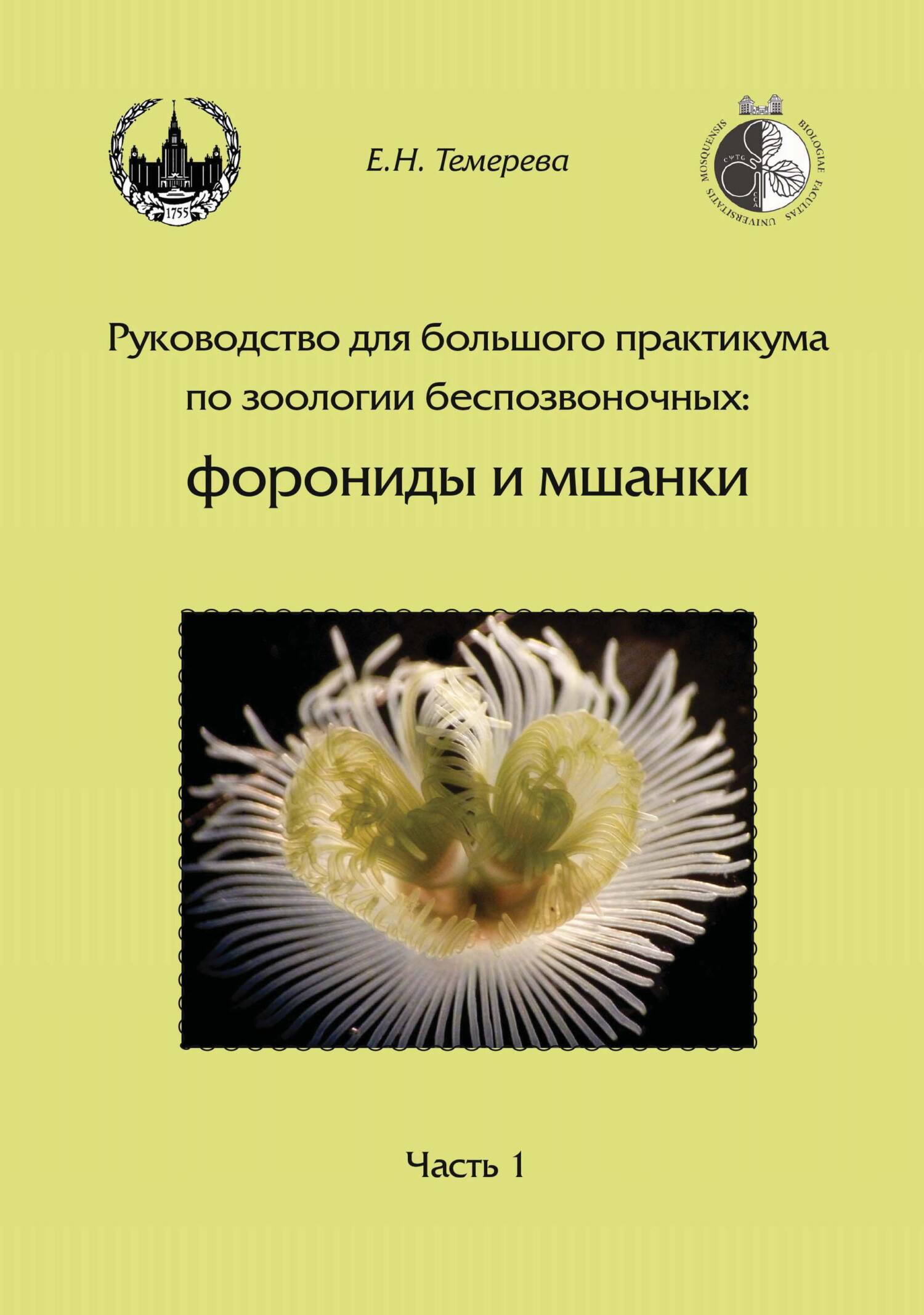 Свои среди других, другие среди своих. О жизни бисексуальных людей в Армении, Кыргызстане и Украине