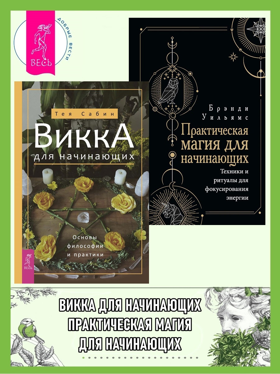 Викка для начинающих. Основы философии и практики. Практическая магия для  начинающих. Техники и ритуалы для фокусирования энергии, Уильямс Брэнди –  скачать книгу fb2, epub, pdf на ЛитРес