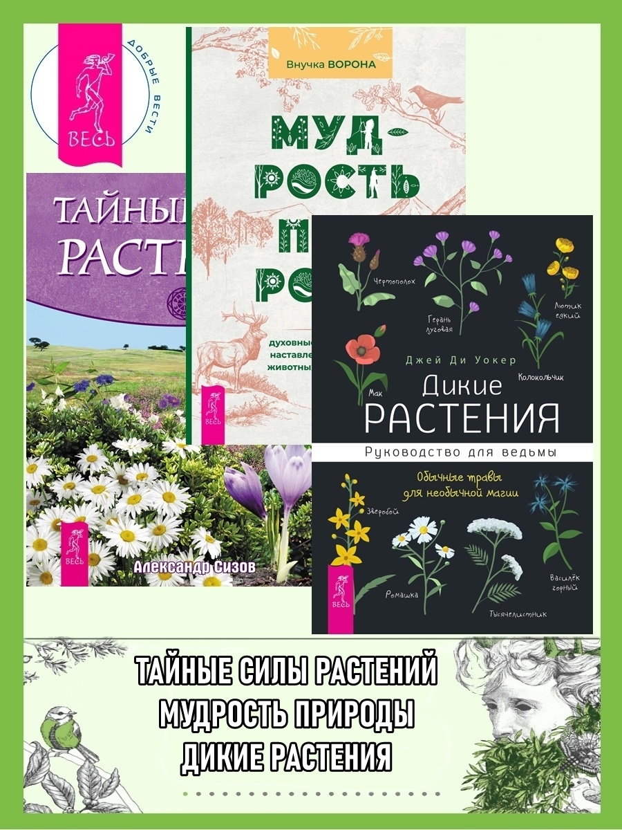 Дикие растения: Руководство для ведьмы: Обычные травы для необычной магии.  Мудрость природы: Духовные и практические наставления от растений, животных  и Матери-земли. Тайные силы растений, Александр Сизов – скачать книгу fb2,  epub, pdf