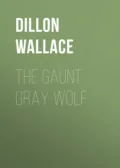 The Gaunt Gray Wolf - Dillon Wallace