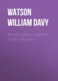 Trevethlan: A Cornish Story. Volume 2 - Watson William Davy