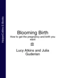 Blooming Birth: How to get the pregnancy and birth you want - Lucy  Atkins