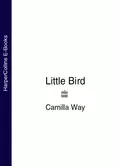 Little Bird - Camilla  Way