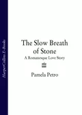 The Slow Breath of Stone: A Romanesque Love Story - Pamela  Petro