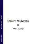 Shadows Still Remain - Peter Jonge De