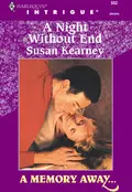 A Night Without End - Susan  Kearney