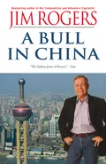 A Bull in China - Jim  Rogers