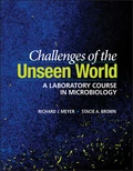 Challenges of the Unseen World - Richard J. Meyer