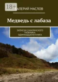 Медведь с лабаза. Записки сахалинского таёжника. Одиннадцатая книга - Валерий Михайлович Маслов