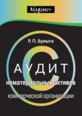 Аудит нематериальных активов коммерческой организации. Правовые, учетные и методологические аспекты - Роман Петрович Булыга