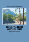 Прекрасный жизни миг. Сборник стихов - Владимир Николаевич Гниляков