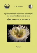 Руководство для большого практикума по зоологии беспозвоночных: форониды и мшанки. Часть 1 - Е. Н. Темерева