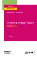 Трудовое право России. Практикум 3-е изд., пер. и доп. Учебное пособие для вузов - Елена Николаевна Доброхотова