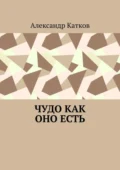 Чудо как оно есть - Александр Лазаревич Катков