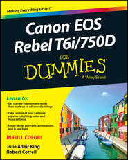 Canon EOS Rebel T6i \/ 750D For Dummies