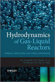 Hydrodynamics of Gas-Liquid Reactors