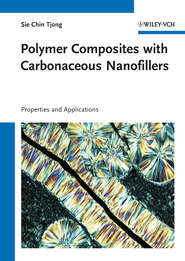 Polymer Composites with Carbonaceous Nanofillers. Properties and Applications