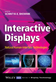 Interactive Displays
