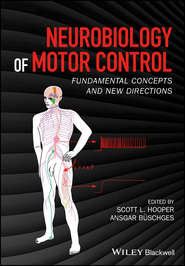 Neurobiology of Motor Control