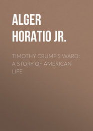 Timothy Crump\'s Ward: A Story of American Life